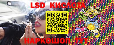 индика Рыбинск