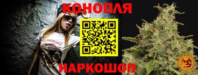 индика Рыбинск