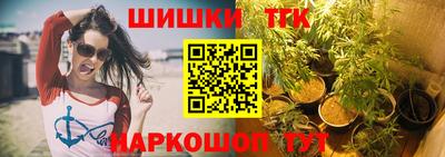 индика Рыбинск
