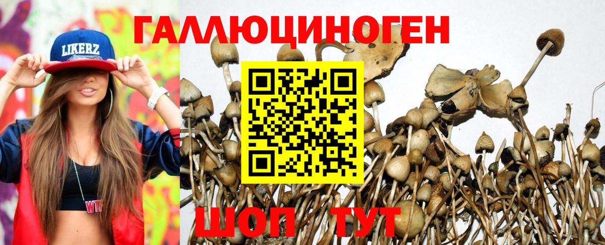Галлюциногенные грибы мухоморы Новороссийск