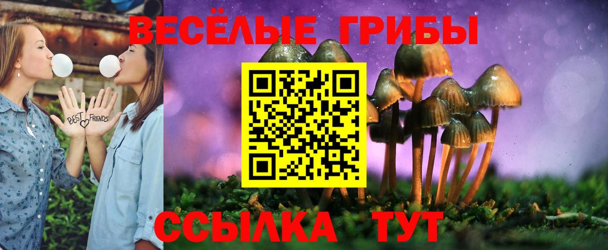Псилоцибиновые грибы мицелий  закладки  Новороссийск  Псилоцибиновые грибы мухоморы  Вход с VPN 