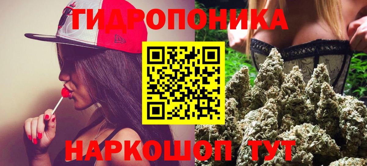 Каннабис план Новороссийск